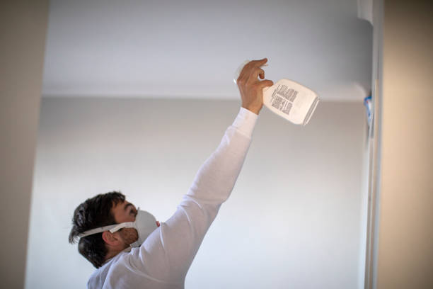 Best Emergency Mold Remediation in Maryland City, MD